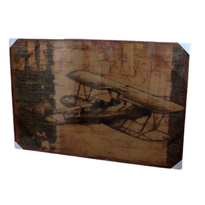 Print - Bi Plane
