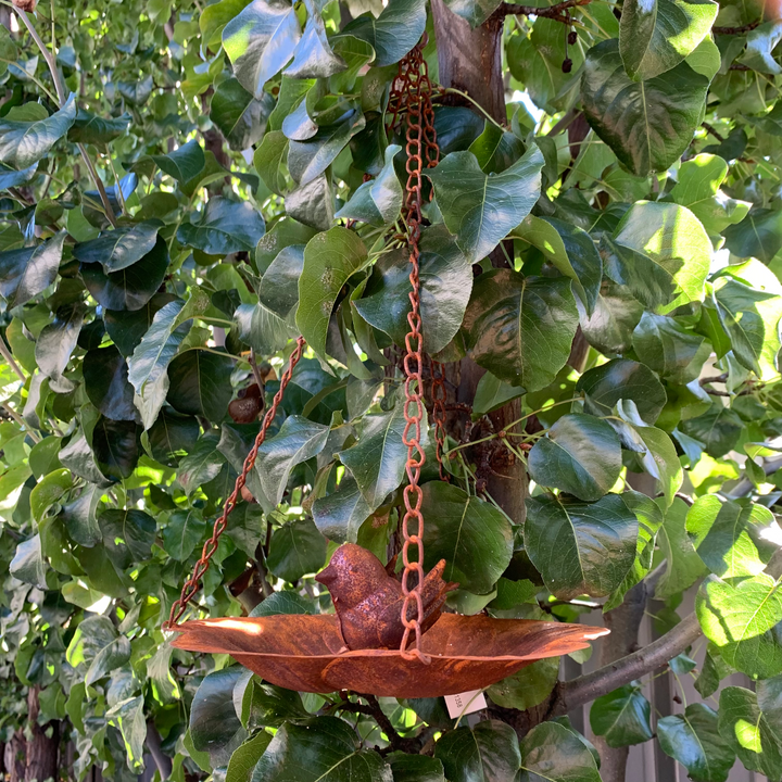 Birdfeeder - Hanging Petal Tray with Bird Rust