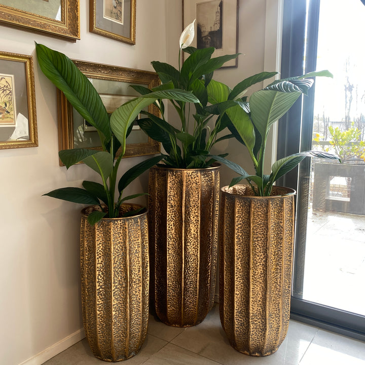 Pots - Argos Set of 3