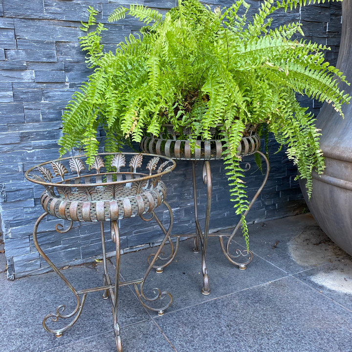 Plant Stand - Set of 2 Antique Bronze Verdi finish