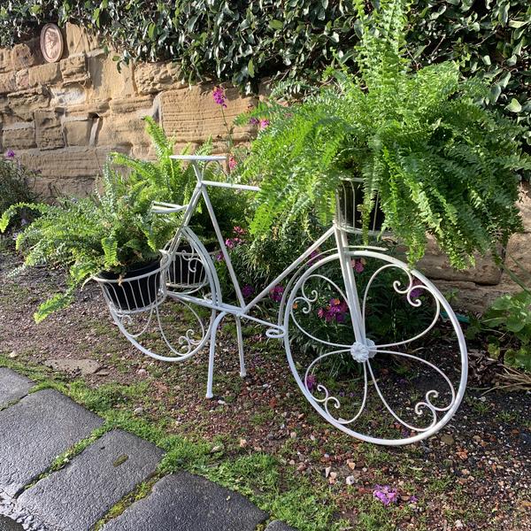 Plant Stand - Bicycle Cream