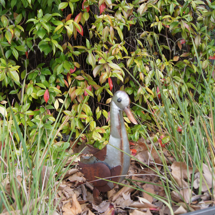 Metal Sculpture - Duck Head Down