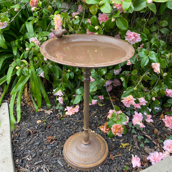 Bird Bath/Feeder - Rustic Brown with Cast Bird