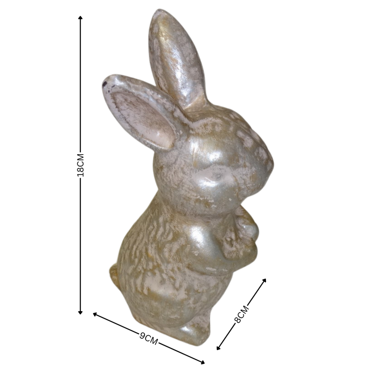 Cast iron - Rabbit Bronzed