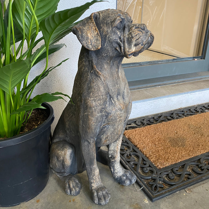 Statue Dog - ROCKY