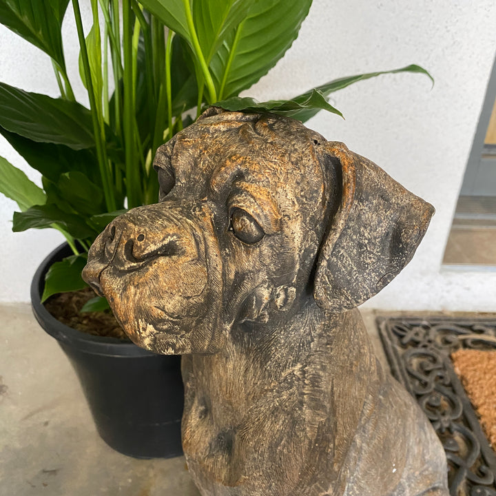 Statue Dog - ROCKY