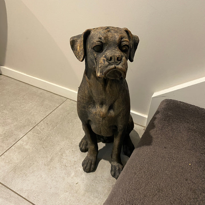 Statue Dog - ROCKY