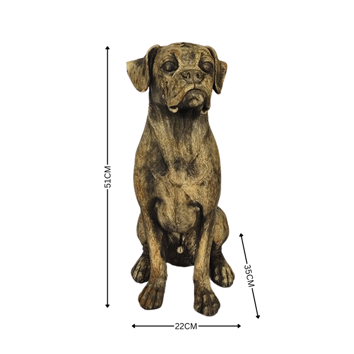 Statue Dog - ROCKY