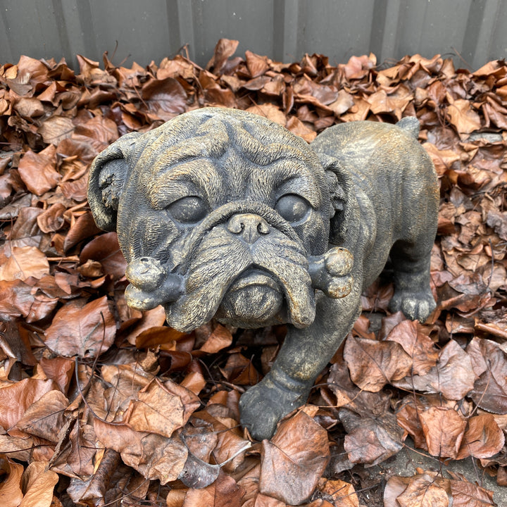 Statue Dog - ARCHIE