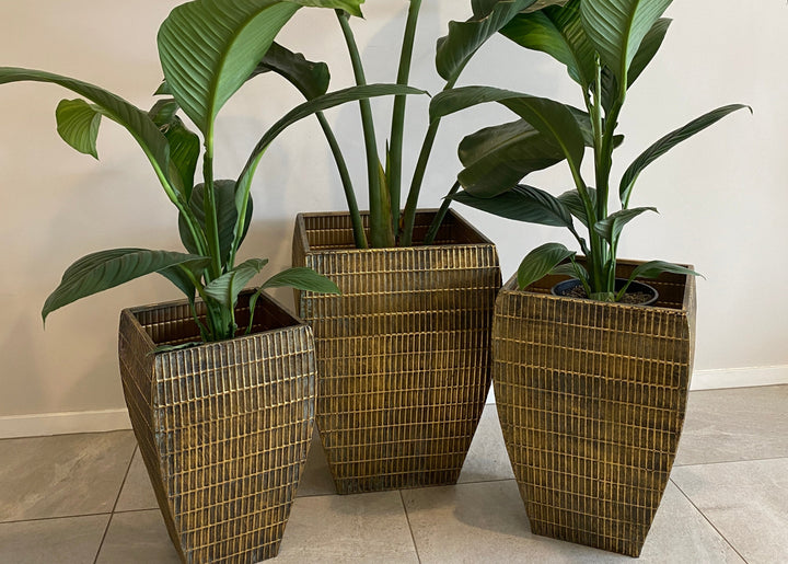 Pots - Prato Set of 3
