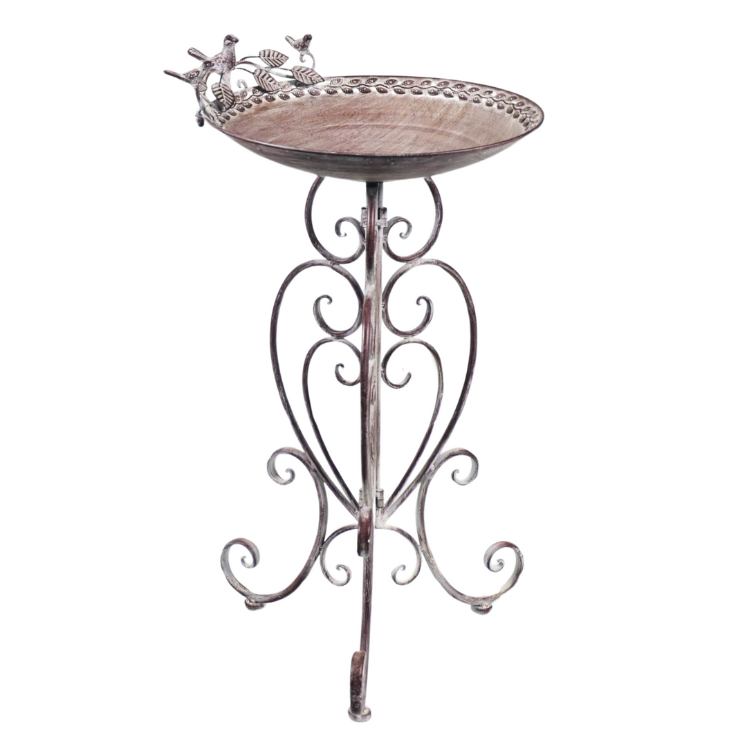 Bird Bath