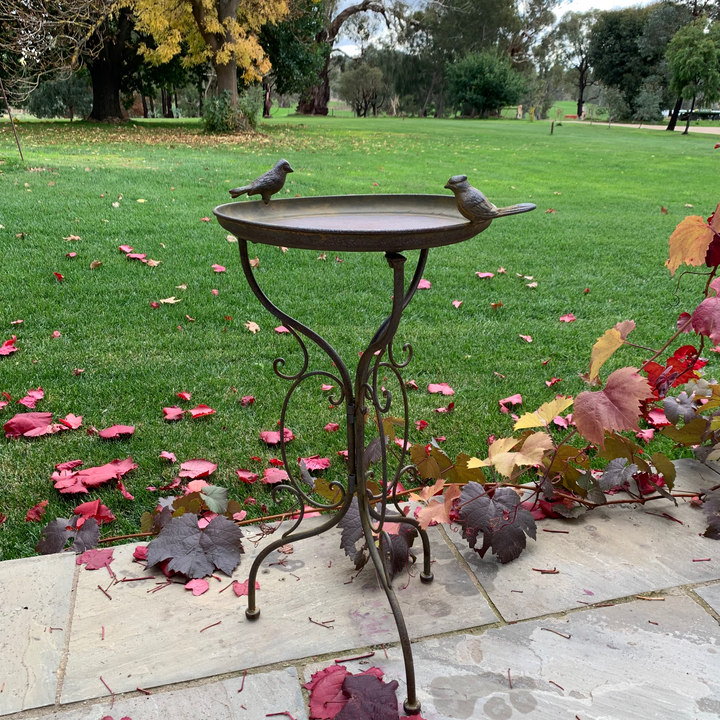 Bird Bath/Feeder - on Stand Rust