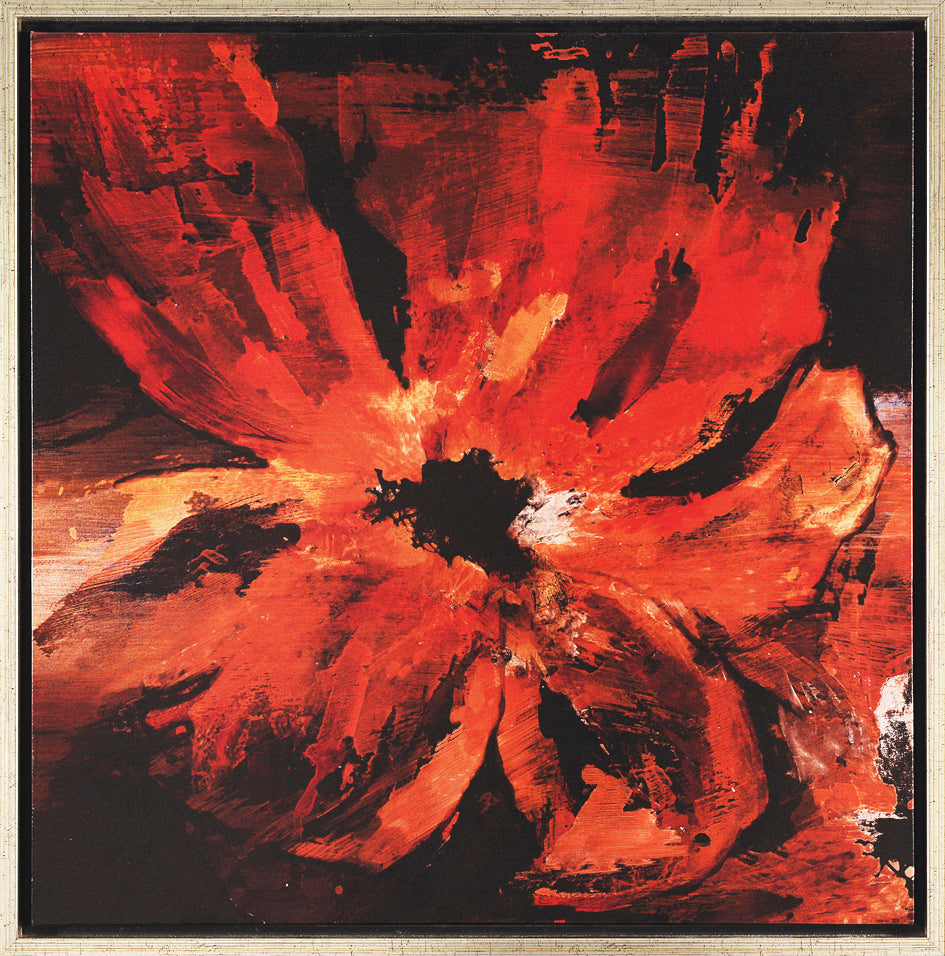 Print - Framed Lava Bouquet 1