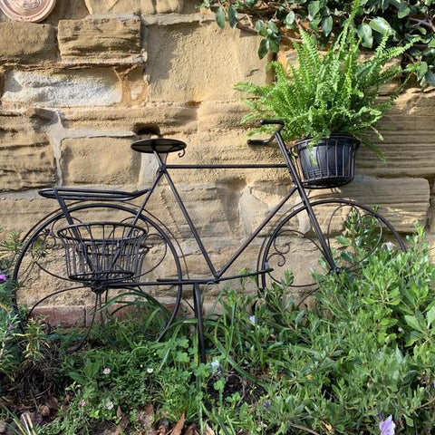 Bicycle Plant Stand Rust