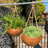 Hanging Planters - Set 2  Rustic