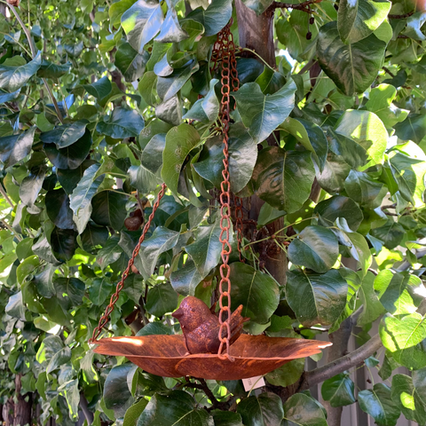 Birdfeeder Hanging Petal Tray with Bird Rust