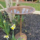 Bird Bath/Feeder - Rustic Brown with Cast Bird