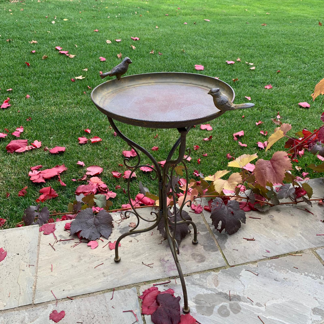 Bird Bath / Feeder - on Stand Rust