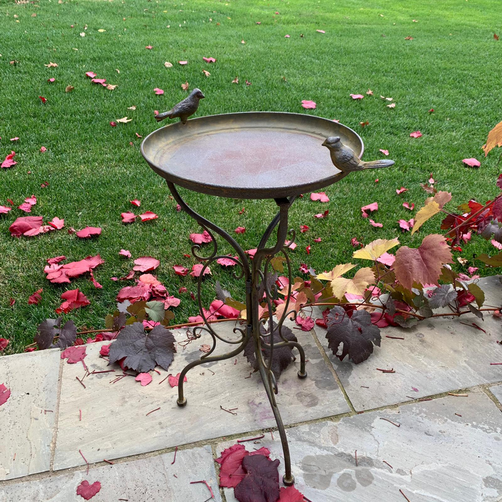 Bird Bath / Feeder - on Stand Rust