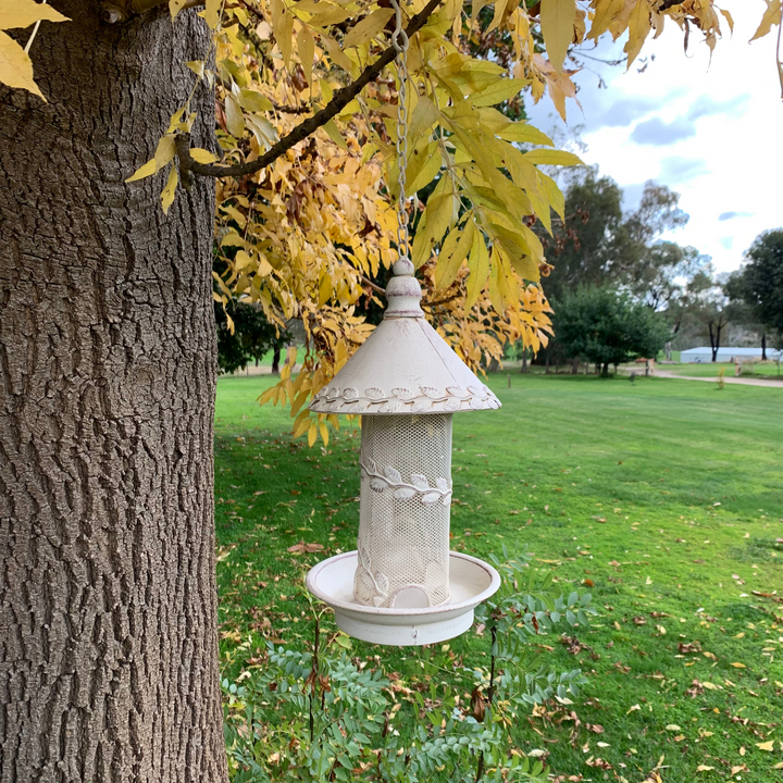 Bird feeder - Hanging Antique White