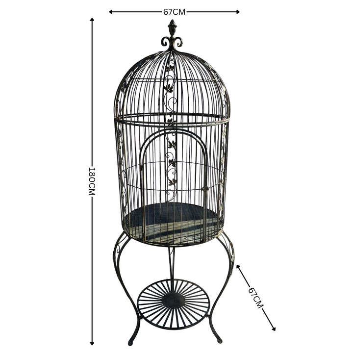 Bird Cage