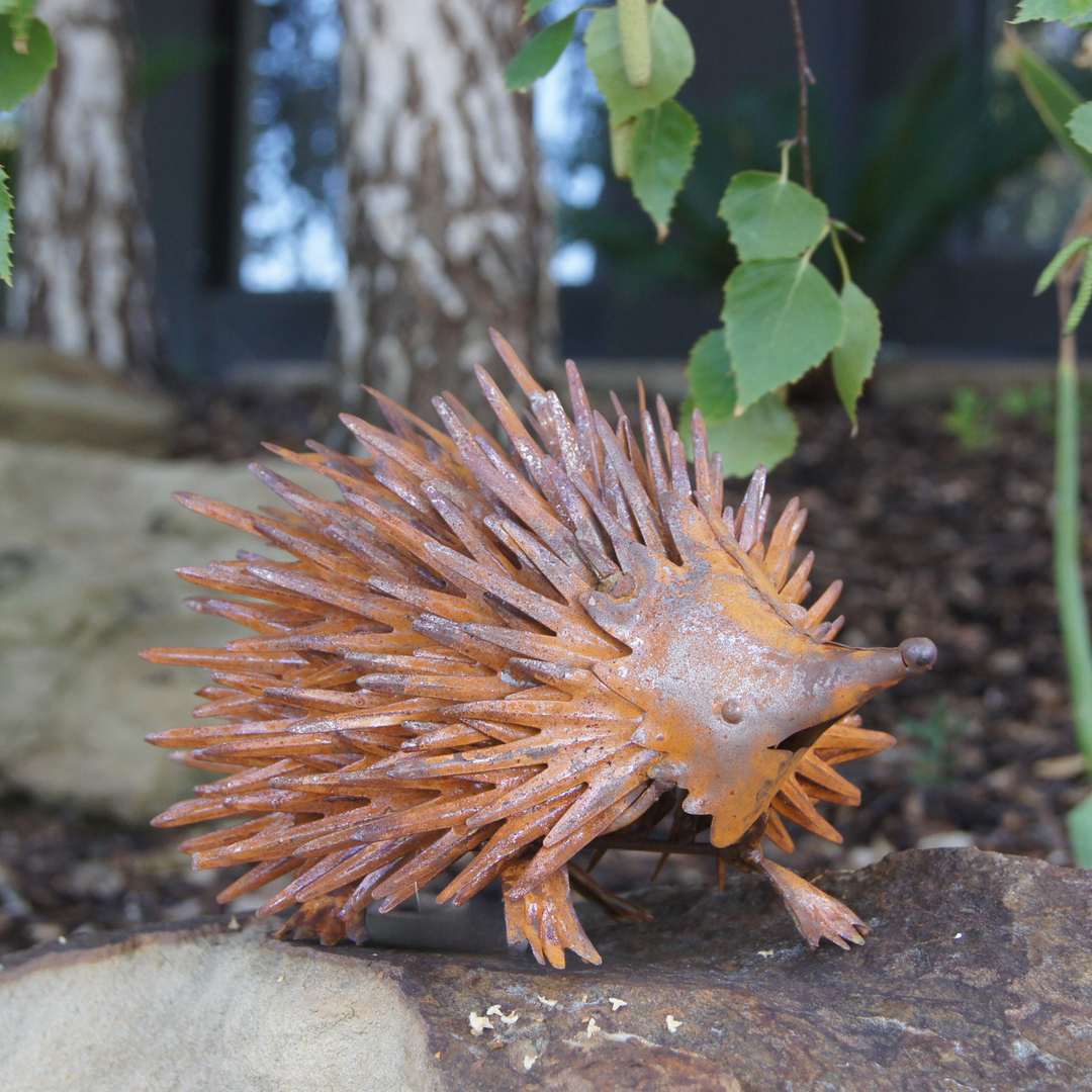 Echidna Small Rust