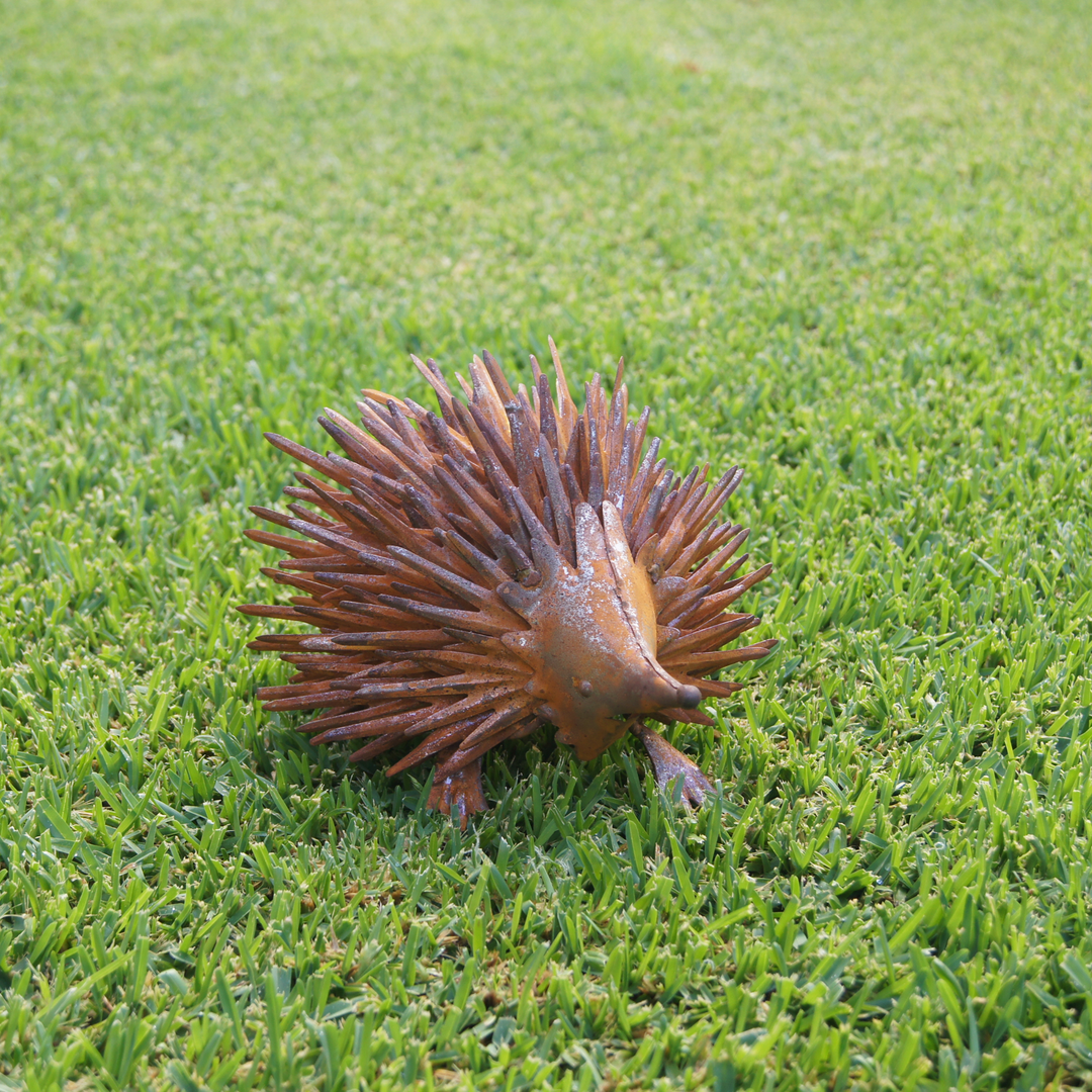 Echidna Small Rust