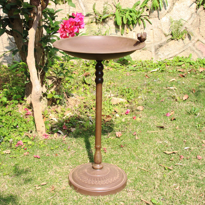 Bird Bath / Feeder - Cast Bird