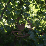 Hanging Circle with Bird Head Down