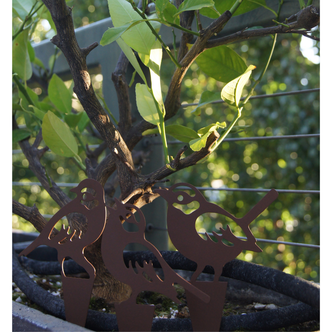 Garden Stake - Bird Set of 3