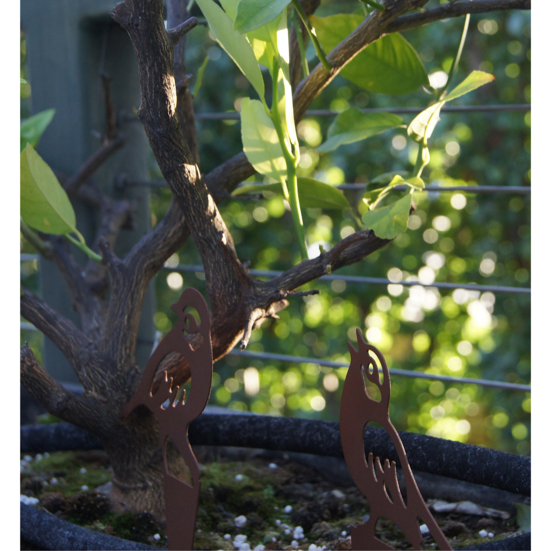Garden Stake - Bird Set of 3