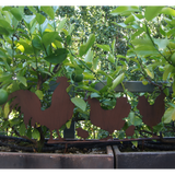 Garden Stake - Chicken Family