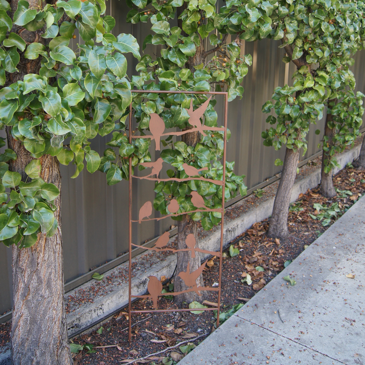 Garden Stake - Fence Metal Birds