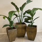 Pots - Prato Set of 3