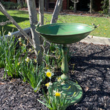 Birdbath/Feeder with Birds in Antique Rustic Green